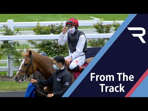 Search For A Song hits high note at her beloved Curragh in Raa Atoll Loughbrown Stakes