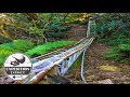 The Abandoned Mystery Of Orphan Rocker The Lost Roller Coaster Expedition Extinct