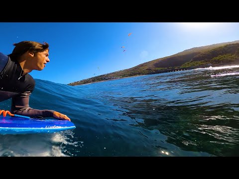 POV BODYBOARD - PERFECT BOWL