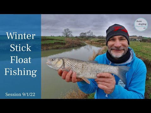 Stick Float Fishing - Winter Small River Trotting - Chub, Dace & Roach - 9/1/22 (Video 292)