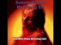 Susumu Yokota My Energy EP full(2015)