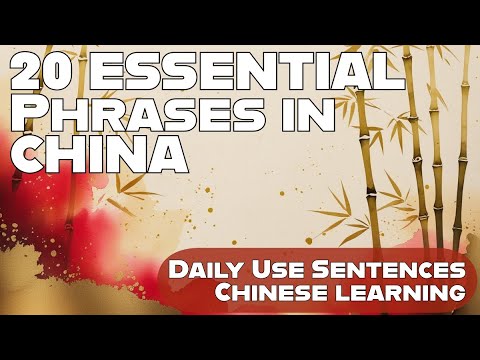 20 ESSENTIAL Chinese Phrases You'll Use EVERY Day! (Beginner-Friendly 🇨🇳)