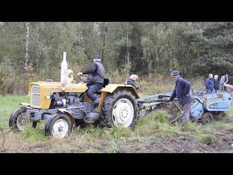 MykaNEWS - Z pola do spiżarni