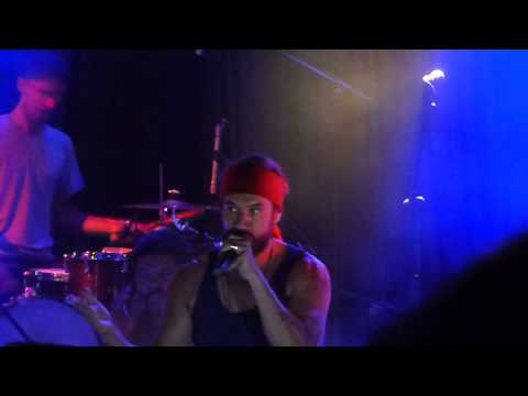 Macaco en la daurada vilanova