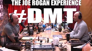 Joe Rogan & Roe Jogan on DMT