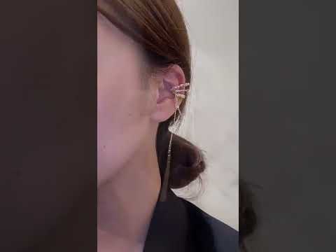 イヤークリップの魅力とは何でしょうか？彼らは危険ですか？  庭園