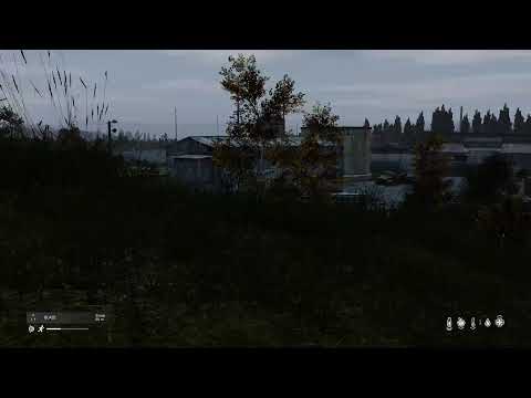 DayZin for SUBS --- life on console