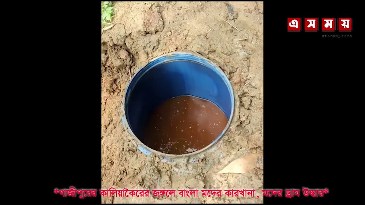 গাজীপুরের জঙ্গলে বাংলা মদের কারখানা আবিষ্কার শত শত ড্রাম  মদের সন্ধান