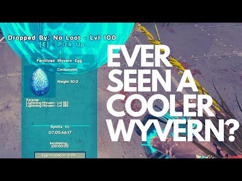 COOLEST WYVERN EVER! AND GOOD STATS! SOLO SMALLTRIBES PVP with Martin Slow #147