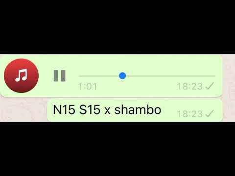 #N15 S15 x Shambo #exclusive #trades