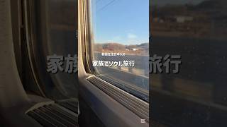 韓国在住日本人の家族でソウル旅行！大晦日、お正月の韓国は人がいっぱいで盛り上がっていました！　#韓国旅行 #ソウル旅行