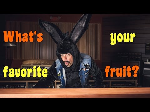 BUNNY RACKET - A Chicken is not a Fruit.