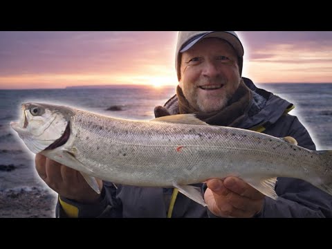 Now on sea trout | The best spots, conditions and tackle