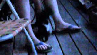 Sparky's day out pt 2