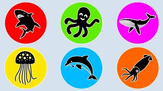 Sea Animals: Shark, Whale, Octopus, Jellyfish, Dolphin, ... etc. #92