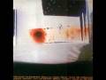 Chrome - Brain Scan