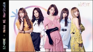 IZ*ONE (아이즈원) - Neko Ni Naritai (猫になりたい)