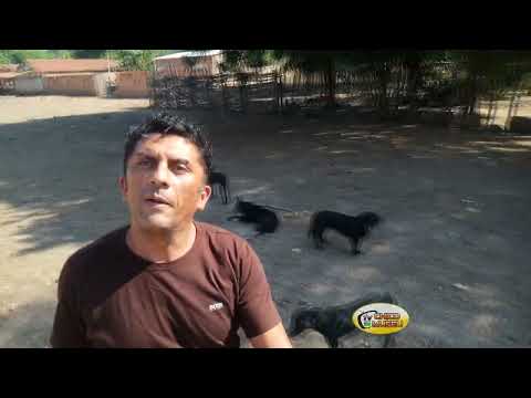 CONHEÇA VILA SÃO PEDRO  EM MORRO DO CHAPÉL PI