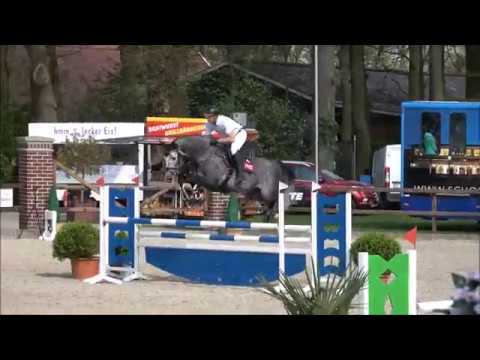 HICKSTEAD WHITE - Springpferde L in Lastrup 20.04.2018 mit Tobias Meyer