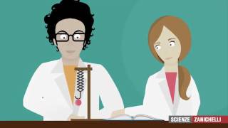 LABORATORIO 2° Principio della Dinamica RUFFO ZANICHELLI