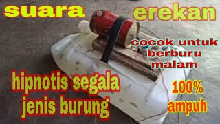 Download lagu Suara hipnotis semua jenis burung dijamin  linglung untuk ber buru malam hari mp3