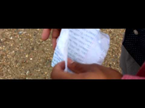 D Beez Ft. Will Bell - Amaris (Official Music Video)