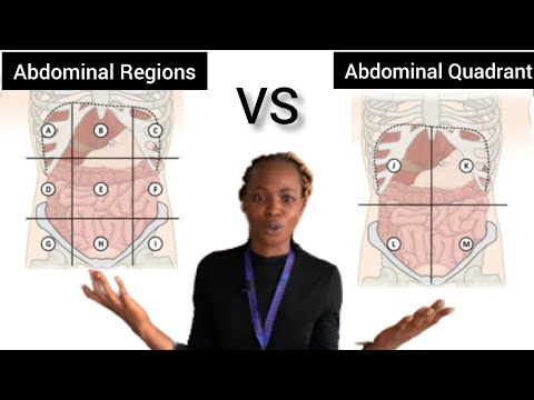 ABDOMINAL QUADRANTS + ABDOMINAL REGIONS AND THE ORGANS SITUATED IN THESE AREAS