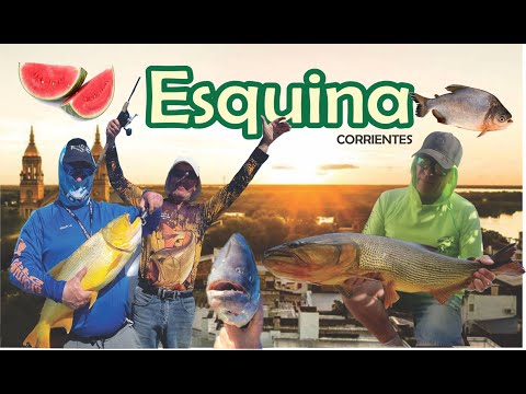 Nota Completa Esquina - Corrientes