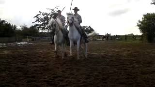 preview picture of video '29 6 2013 spectacle camargue'