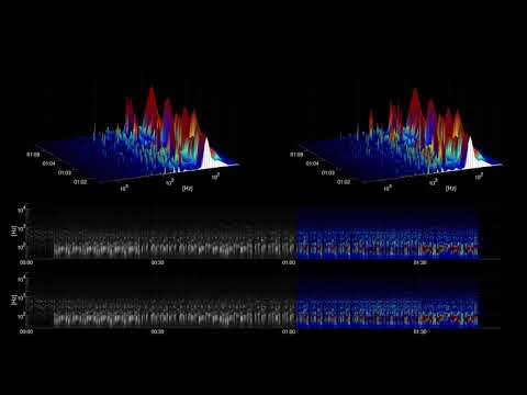 [Free Music] Sabana Havana - Jimmy Fontanez / Media Right Productions | Jazz & Blues | Happy