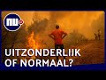 Hitterecord en vuurzeeën: hierom staat Zuid-Europa in brand | NU.nl