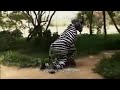 Mr Bones 2 Hunting The Zebra Funny Movie