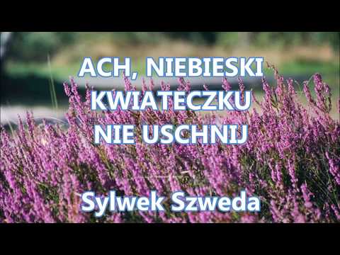 Teledysk