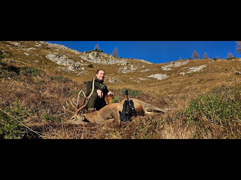 Hirschjagd extrem in den Bergen - long range red stag hunt 2024