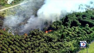 Officials battle large grass fire in southwest Miami-Dade County