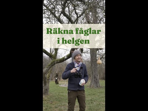 Räkna fåglar i helgen - Trädgårdshacks med GardenR