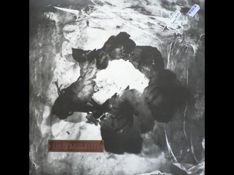 [free] (10+) indie loop kit 2023 "winter" | post punk + alternative loopkit 2023 | guitar loop kit