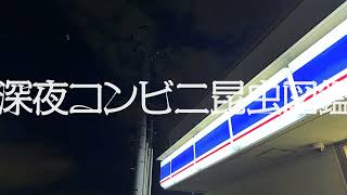 - 深夜コンビニ昆虫図鑑(cover)/ 相沢