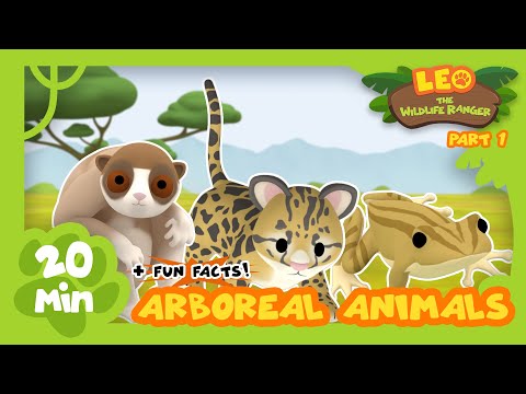 Witness21 Editor  2021 05 27