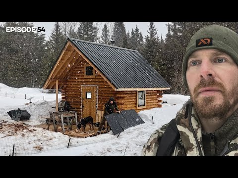 Solar System, Kitchen Table, Tapping Maple Trees |EP54| Log Cabin Build on Off-Grid Homestead