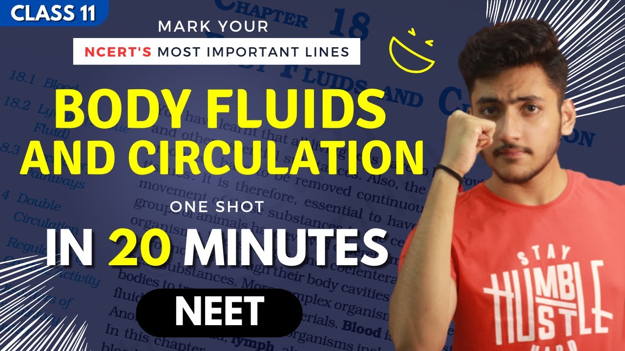 Body Fluids and Circulation Class 11 | Biology | For NEET | Full Revision In 20 Minutes