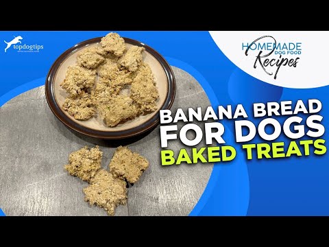 Recipe: Banana Bread for Dogs Baked Treats