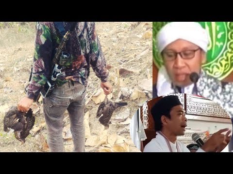 , title : 'berburu itu haram...??? lihat penjelasan ini semoga bermanfaat'