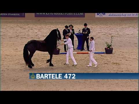 KFPS Hengstenkeuring2016 rubriek 07