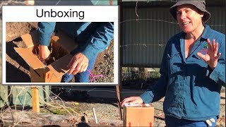 Unboxing &amp; Planting Bare Root Fruit Trees