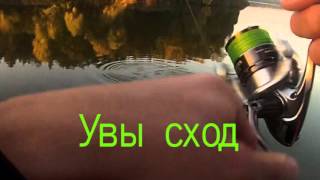 Отчеты о рыбалке рогачев