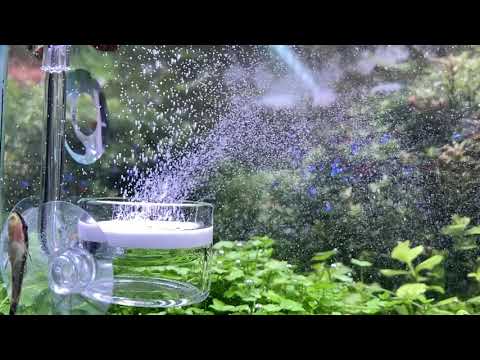 Watch Video on YouTube