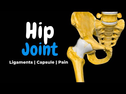 Hip Joint Anatomy & Common Injuries (Ligaments, Capsule, Movement)