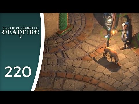 The good boy - Let's Play Pillars of Eternity II: Deadfire #220