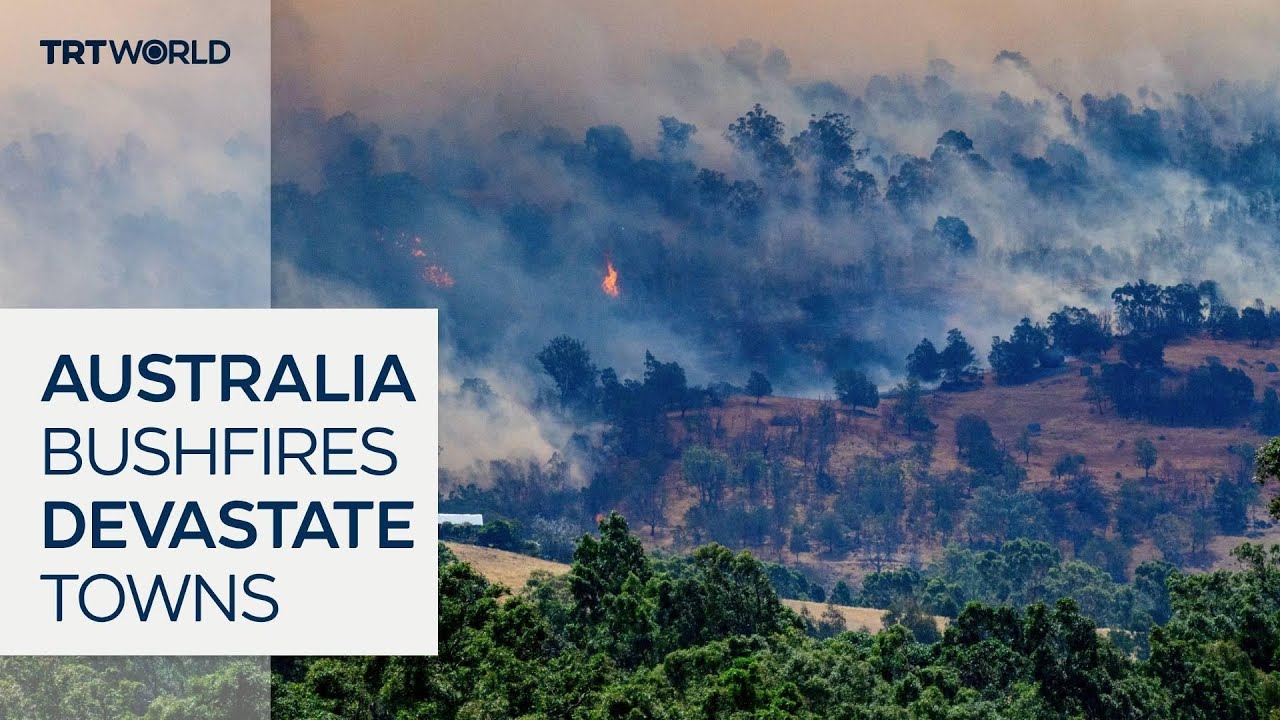 Bushfires devastate the town of Harcourt in Victoria, Australia